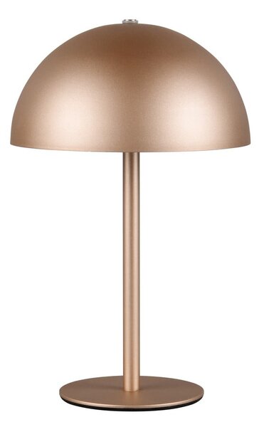 LED namizna svetilka v bronasti barvi s kovinskim senčilom (višina 21 cm) Munoz – Reality
