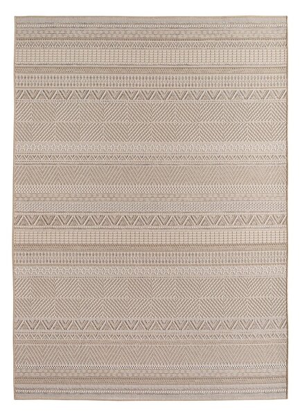 Bež notranja in zunanja preproga 80x150 cm Desert 1303 – Ayyildiz Carpets