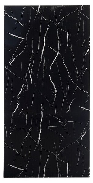 FibroTech Panelna plošča (100 x 260 cm, Črna)