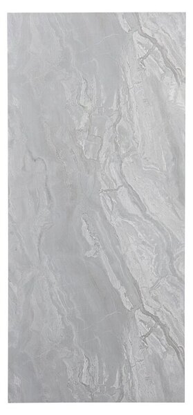FibroTech Panelna plošča (100 x 260 cm, Siva)