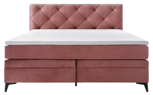 Premium Living Postelja Boxspring Molde, Roza, 180x200