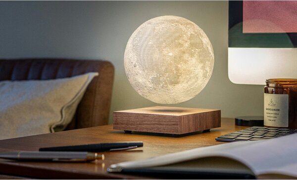 Rjava svetlobna dekoracija z vtikačem ø 12 cm Moon – Gingko