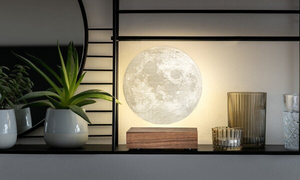 Rjava svetlobna dekoracija z vtikačem ø 12 cm Moon – Gingko