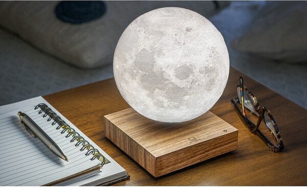 Rjava svetlobna dekoracija z vtikačem ø 12 cm Moon – Gingko