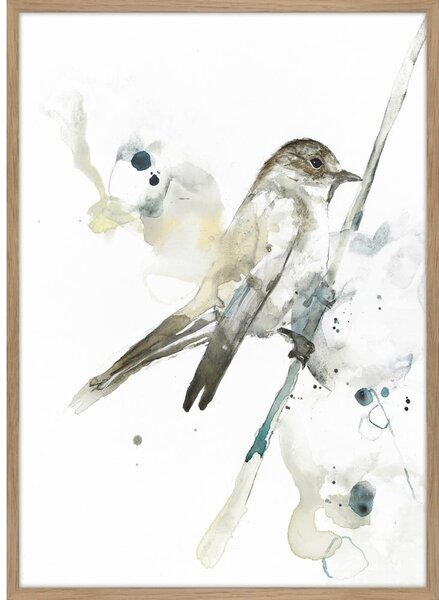 Slika 50x70 cm Bird 2 – Malerifabrikken