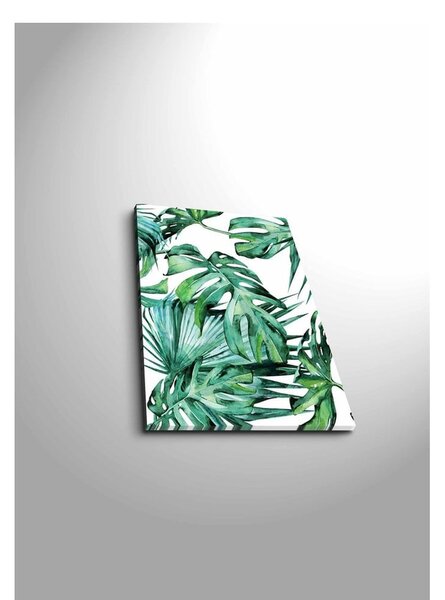 Slika Wallity Jungle, 28 x 38 cm