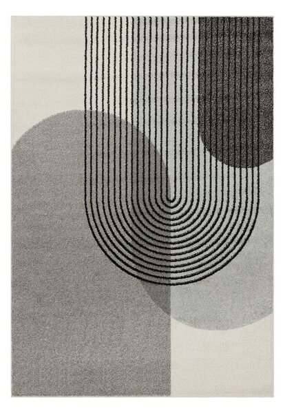 Siva preproga 230x160 cm Muse - Asiatic Carpets