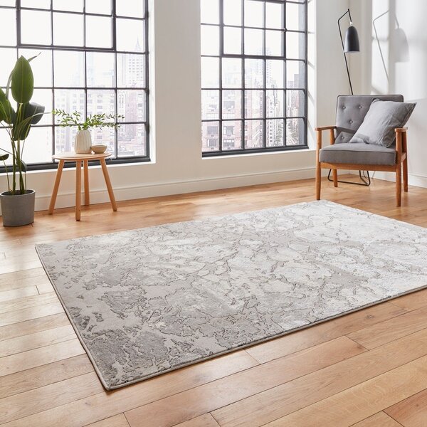 Siva/brezova preproga 170x120 cm Apollo - Think Rugs