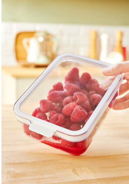 Plastičen organizator za hladilnik Cauma – Rotho