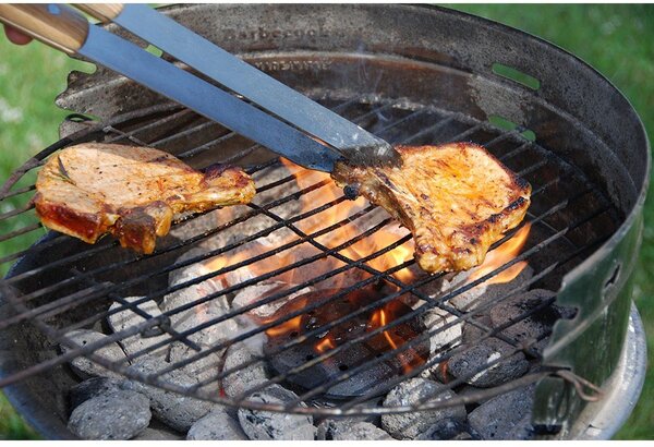 Komplet pripomočkov za žar v torbi Esschert Design BBQ