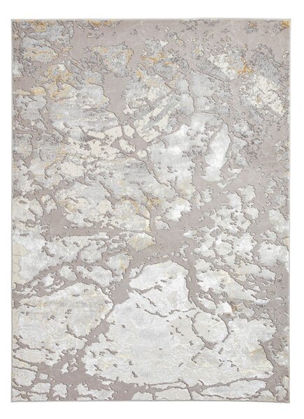 Siva/zlata preproga 220x160 cm Apollo - Think Rugs
