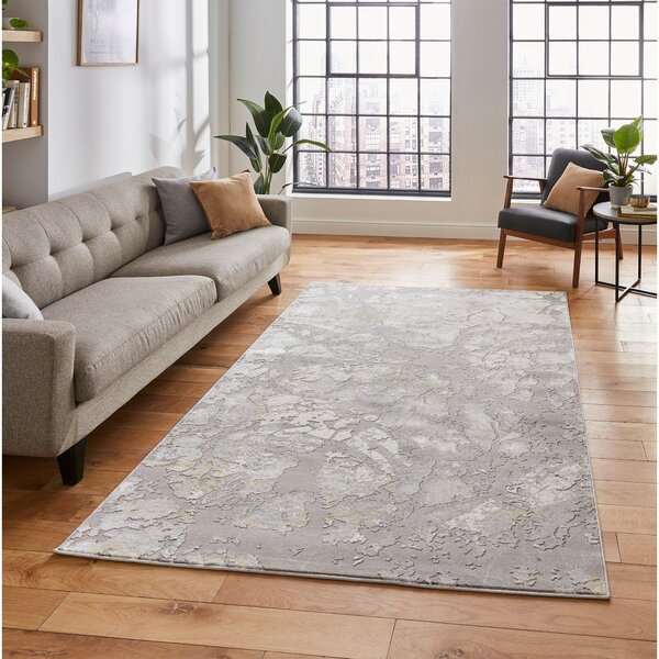 Siva/zlata preproga 220x160 cm Apollo - Think Rugs