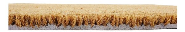 Predpražnik iz kokosovih vlaken 60x90 cm Autumn Leaves – Artsy Doormats