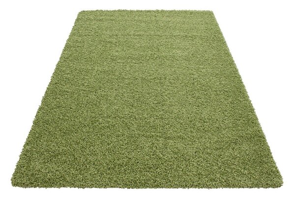 Zelena preproga 120x170 cm Life – Ayyildiz Carpets