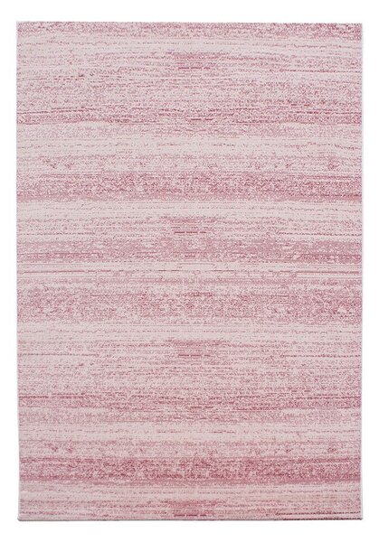 Svetlo rožnata preproga 160x230 cm Plus – Ayyildiz Carpets