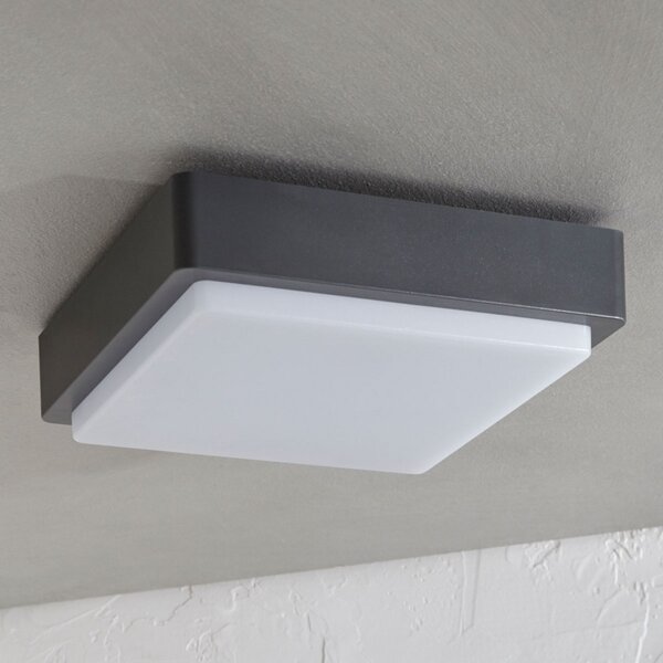 Lindby LED zunanja stropna svetilka Nermin, 22 cm, IP65, kvadratna, Črna, Plastika, Sodobni
