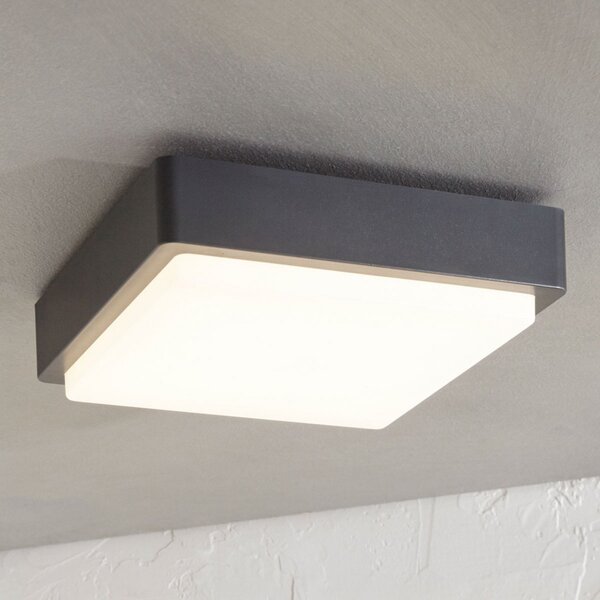 Lindby LED zunanja stropna svetilka Nermin, 22 cm, IP65, kvadratna, Črna, Plastika, Sodobni