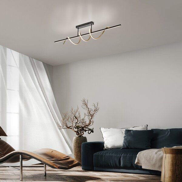 JUST LIGHT. GmbH Emanda LED stropna svetilka, železo, črna medenina, zatemnjen, Črna, Dnevna soba / jedilnica, Kovina, Sodobni