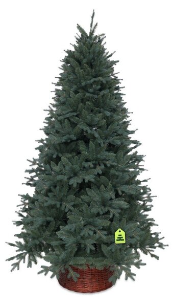 Umetna jelka višina 210 cm Silver Spruce – Můj Stromeček