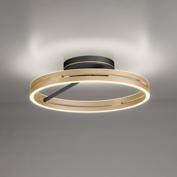PURE LED stropna svetilka Loop medenina/črna kovina Ø 60 cm CCT, zatemnjen, Zlata / medeninasta, Dnevna soba / jedilnica, Aluminij, Sodobni, Okrogli neposredni strop