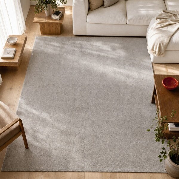 Svetlo siva preproga 60x120 cm Loft - Universal