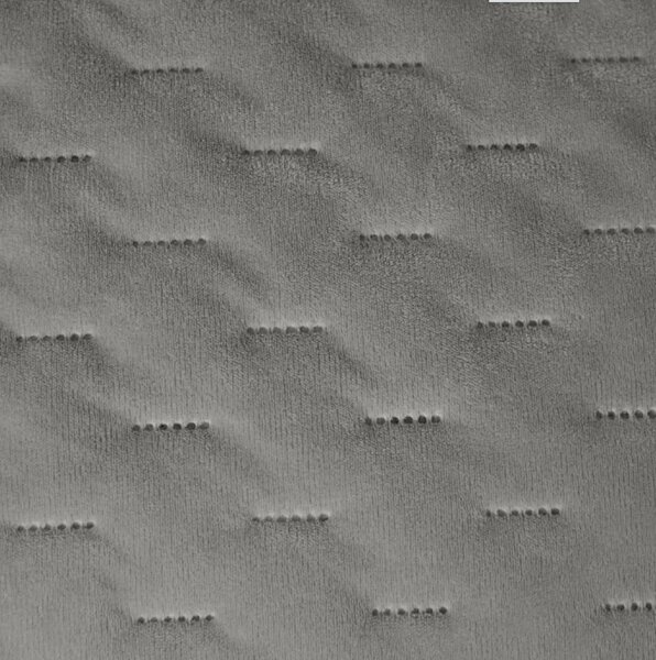 Žametno pregrinjalo za posteljo ASTRALIA, siva Dimenzije: 170 x 210 cm