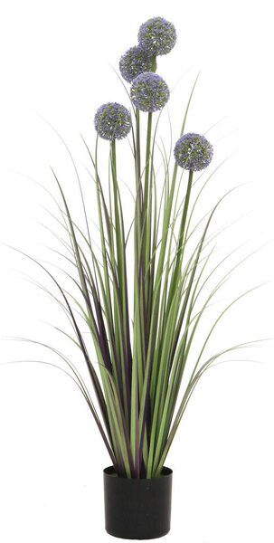 OKRASNA TRAVA 110 cm