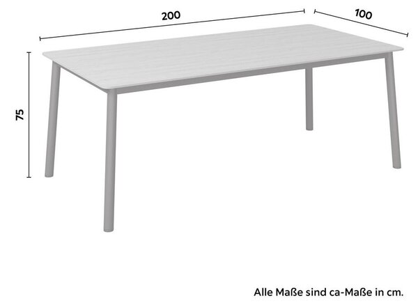 Mömax Vrtna Miza Jannis, Aluminij, 200x100