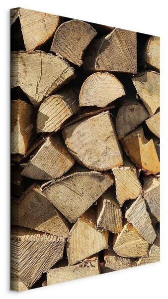 Artgeist Slika Na Platnu Beauty Of Wood