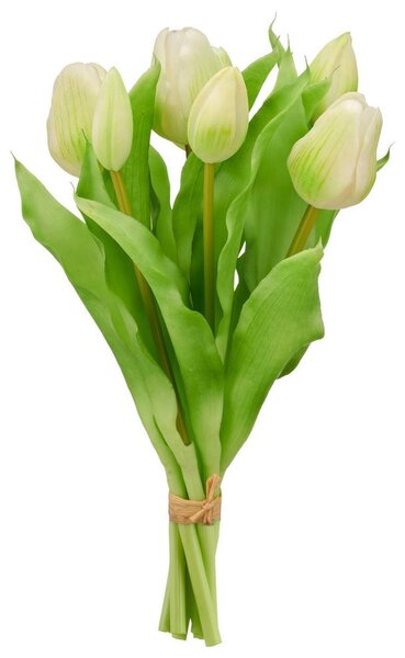 Mömax Tulipan Tulpenbund I