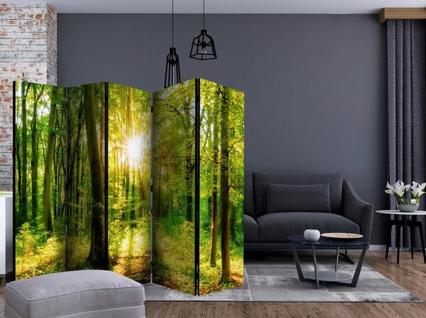 Artgeist Paravan Forest Rays Ii, Dvostranski, 5-Delni