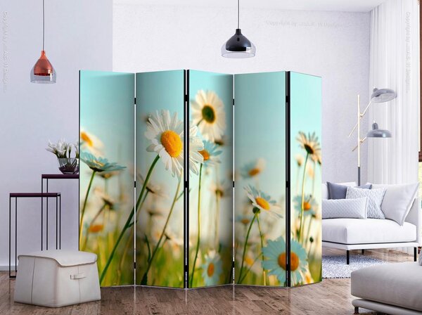 Artgeist Paravan Daisies I, 5-Delni, Dvostranski