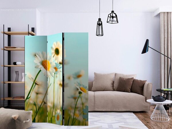 Artgeist Paravan Daisies, 3-Delni, Dvostranski