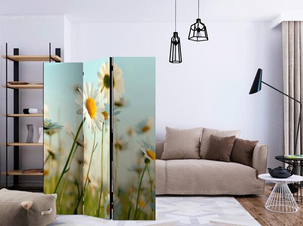 Artgeist Paravan Daisies, 3-Delni, Dvostranski