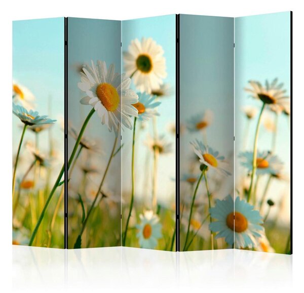 Artgeist Paravan Daisies I, 5-Delni, Dvostranski