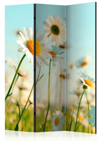 Artgeist Paravan Daisies, 3-Delni, Dvostranski
