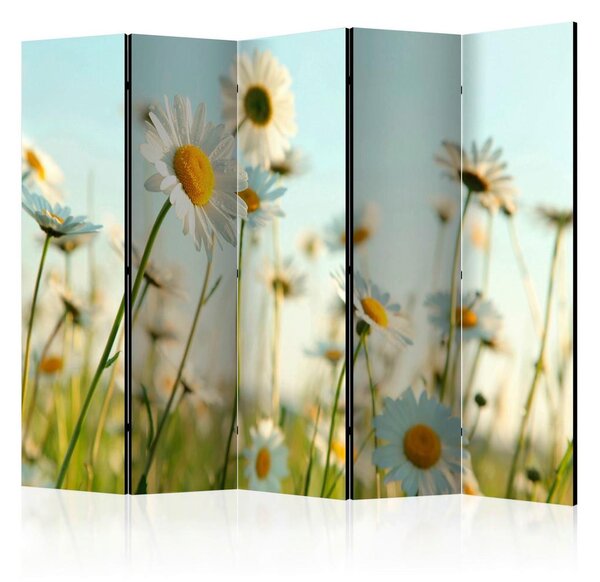 Artgeist Paravan Daisies I, 5-Delni, Dvostranski