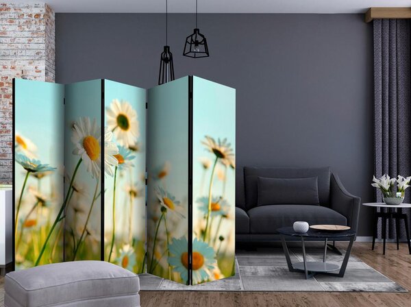 Artgeist Paravan Daisies I, 5-Delni, Dvostranski