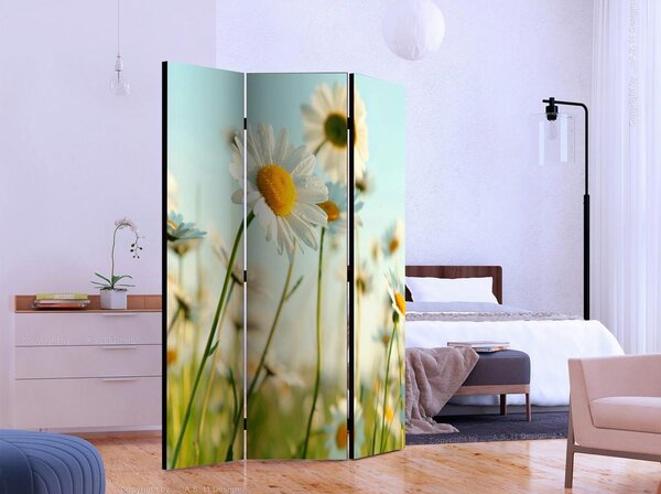 Artgeist Paravan Daisies, 3-Delni, Dvostranski