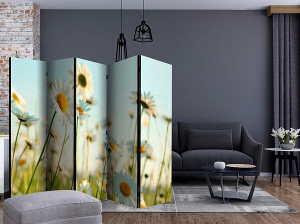 Artgeist Paravan Daisies I, 5-Delni, Dvostranski