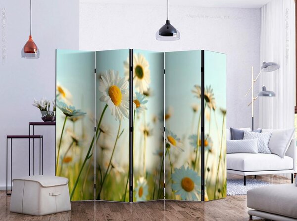Artgeist Paravan Daisies I, 5-Delni, Dvostranski