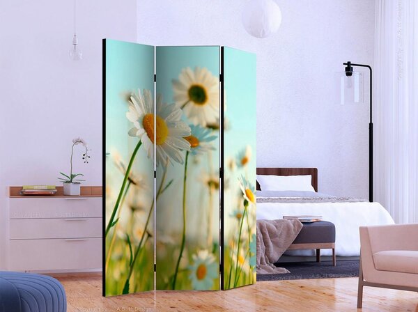 Artgeist Paravan Daisies, 3-Delni, Dvostranski