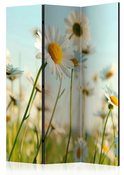 Artgeist Paravan Daisies, 3-Delni, Dvostranski