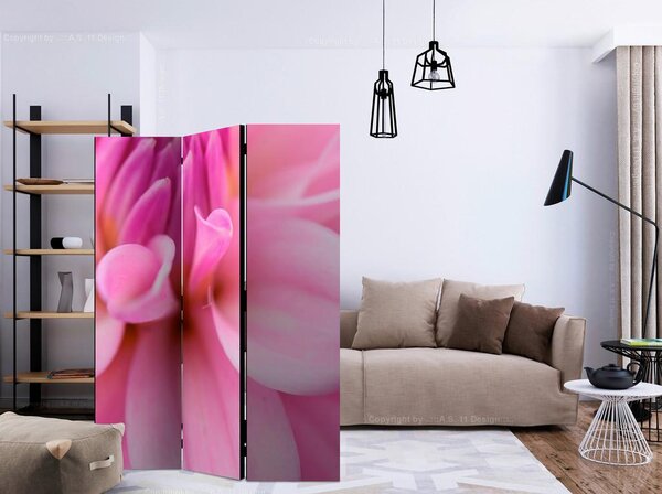 Artgeist Paravan Flower Petals, Dvostranski, 3-Delni