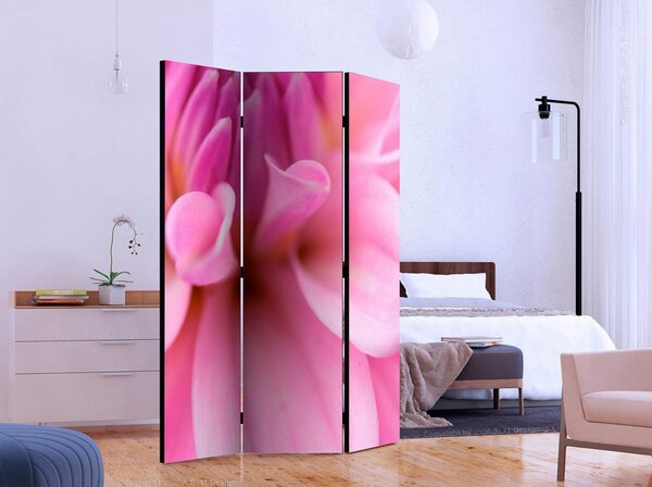 Artgeist Paravan Flower Petals, Dvostranski, 3-Delni