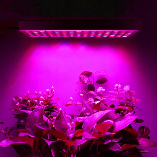 225 LED UV panel za rast rastlin 36W