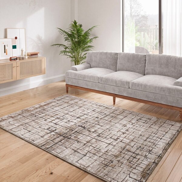 Sivo-bež preproga 80x120 cm Ceres – Universal