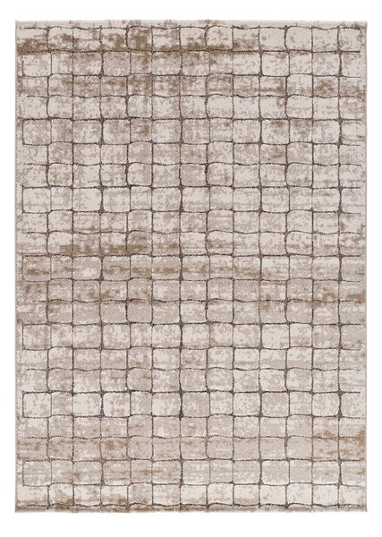 Sivo-bež preproga 80x120 cm Ceres – Universal