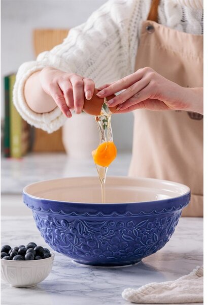 Modra skleda iz kamenine ø 26 cm Fruits Blueberry – Mason Cash