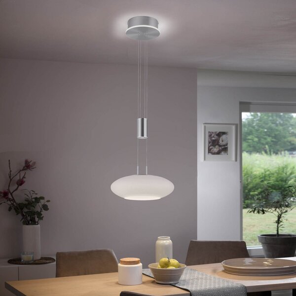 Q-Smart-Home Paul Neuhaus Q-ETIENNE LED viseče svetilo, 1-svetloba, zatemnjen, Siva, Dnevna soba / jedilnica, Kovina, Sodobni